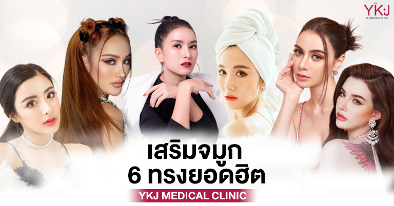 ปกเสริมจมูก 6 ทรง